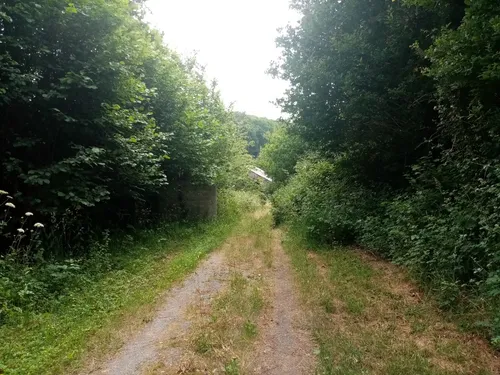 4 meurtres dans le pavillon d'Orvault : le procès Caouissin s'ouvre...